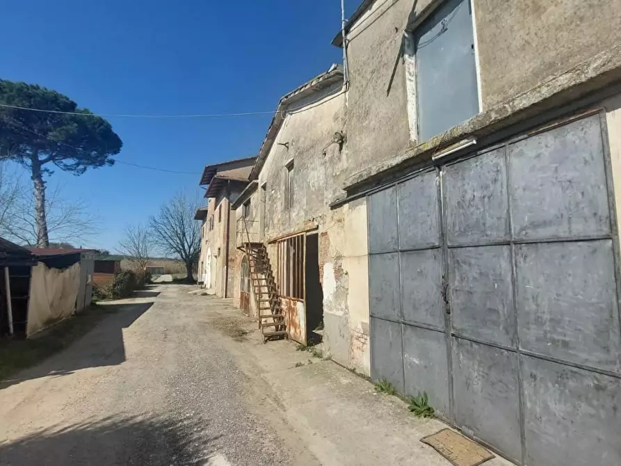 Immagine 8 di Casa colonica in vendita  a Empoli