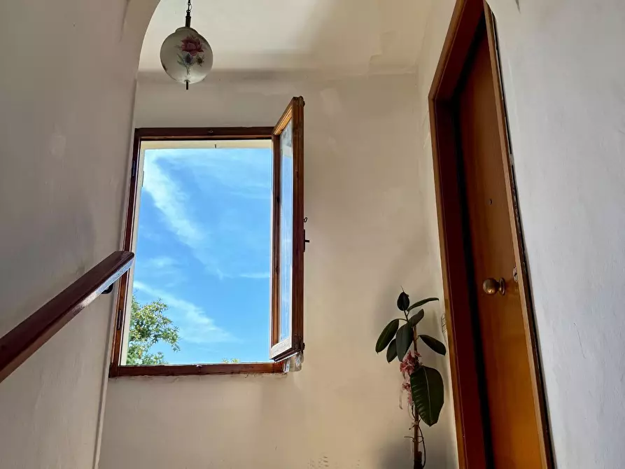 Immagine 4 di Appartamento in vendita  a Empoli