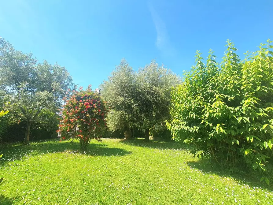 Immagine 40 di Villa in vendita  a Lucca