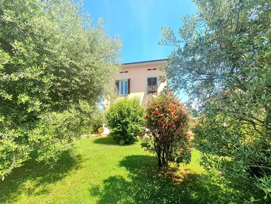 Immagine 4 di Villa in vendita  a Lucca