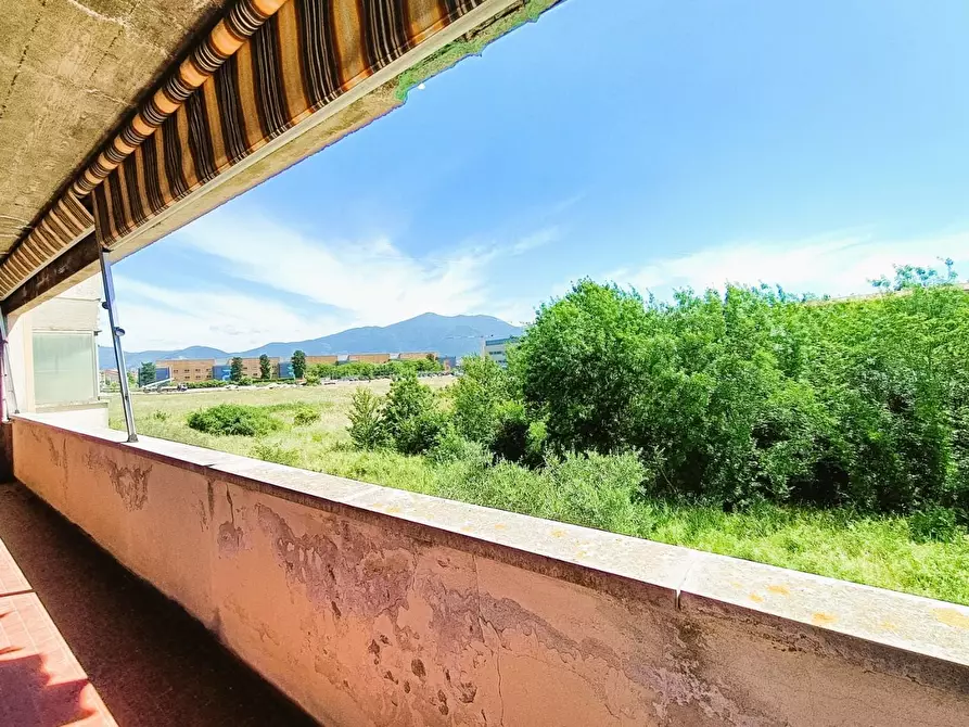 Immagine 14 di Appartamento in vendita  a Pisa