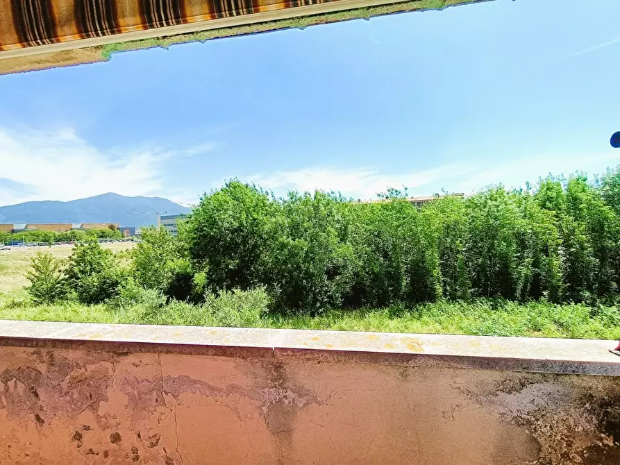 Immagine 15 di Appartamento in vendita  a Pisa