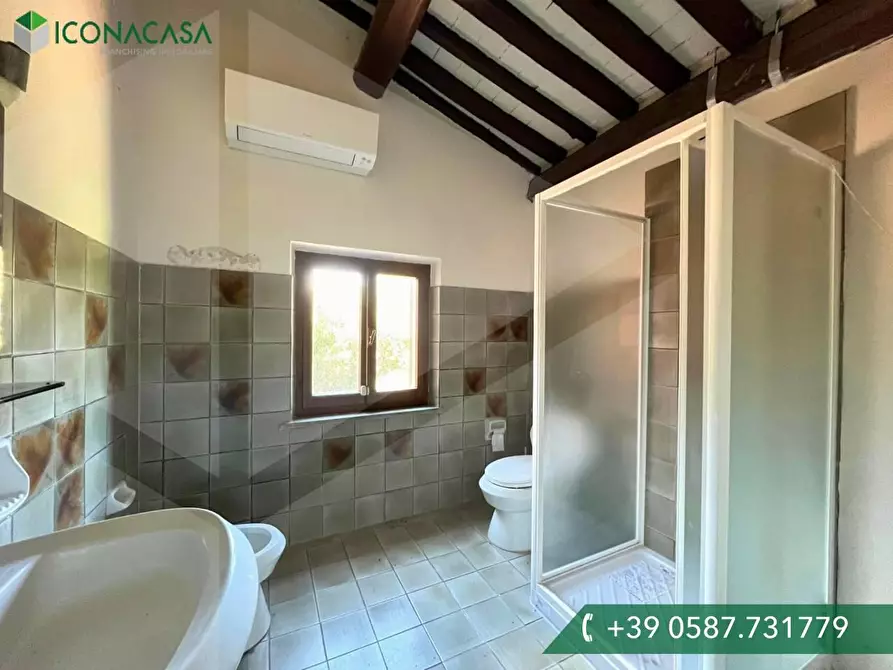 Immagine 21 di Casa colonica in vendita  a Casciana Terme Lari