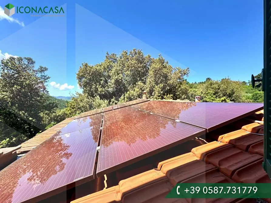 Immagine 23 di Casa colonica in vendita  a Casciana Terme Lari