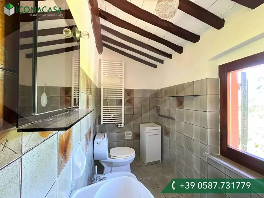 Immagine 19 di Casa colonica in vendita  a Casciana Terme Lari