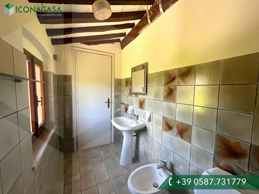 Immagine 20 di Casa colonica in vendita  a Casciana Terme Lari