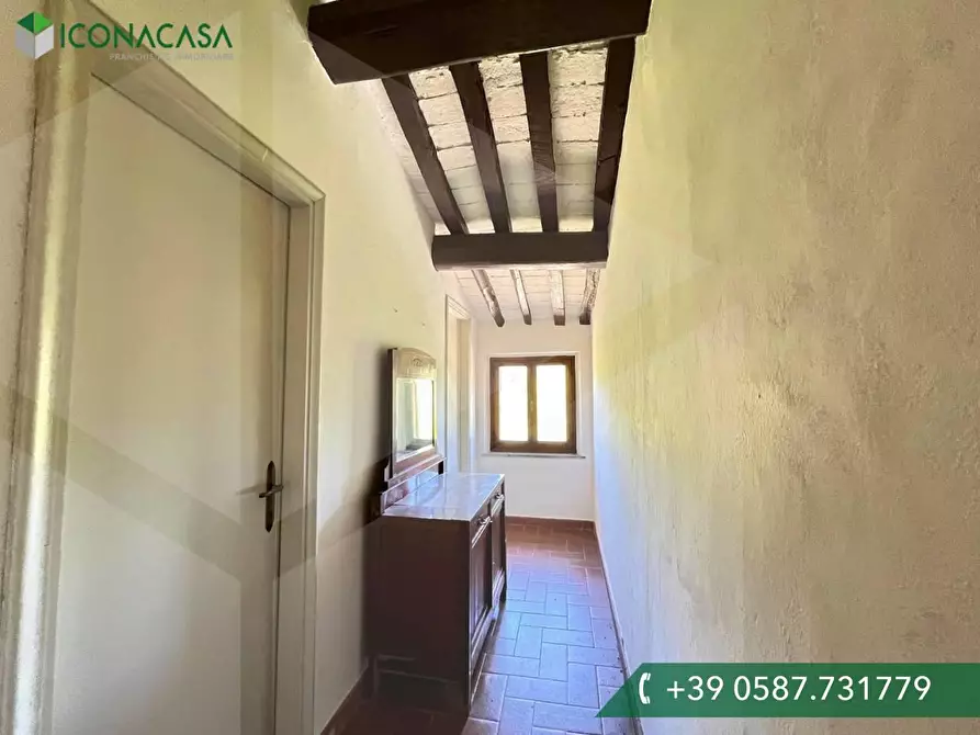 Immagine 16 di Casa colonica in vendita  a Casciana Terme Lari