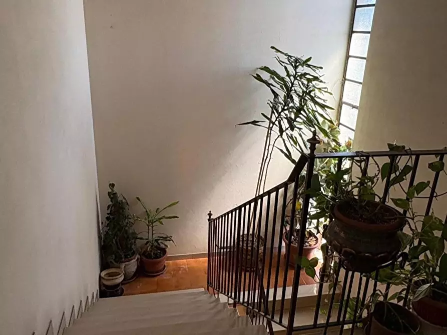 Immagine 22 di Appartamento in vendita  a Lucca