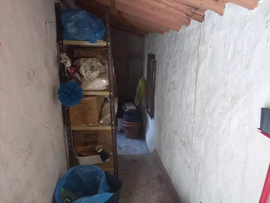 Immagine 12 di Appartamento in vendita  a Montaione