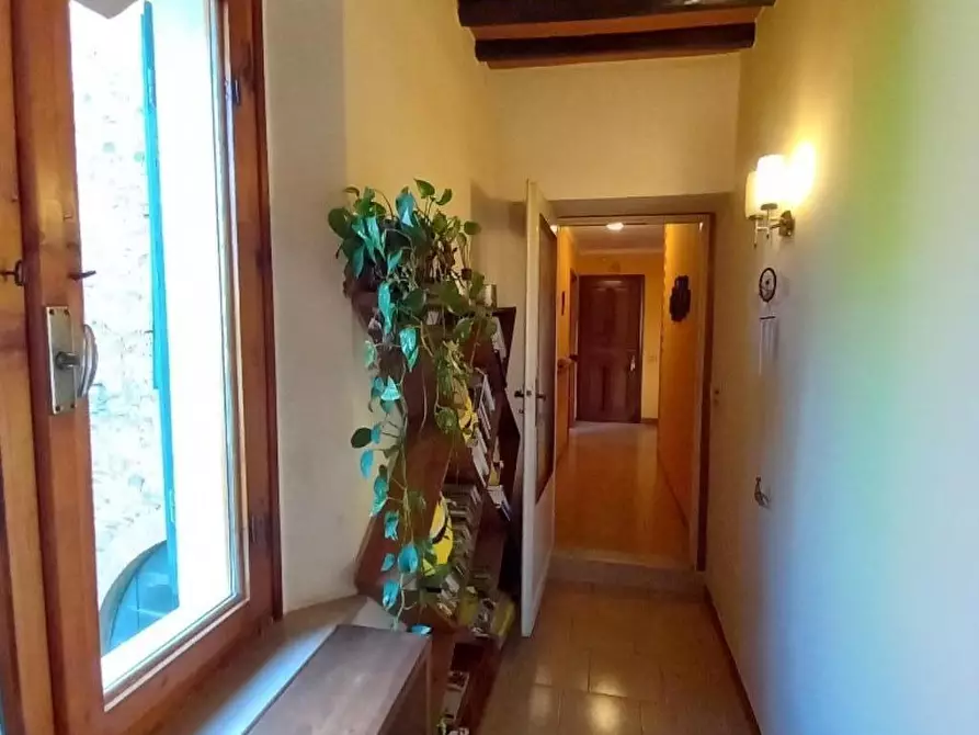 Immagine 3 di Appartamento in vendita  a Montaione