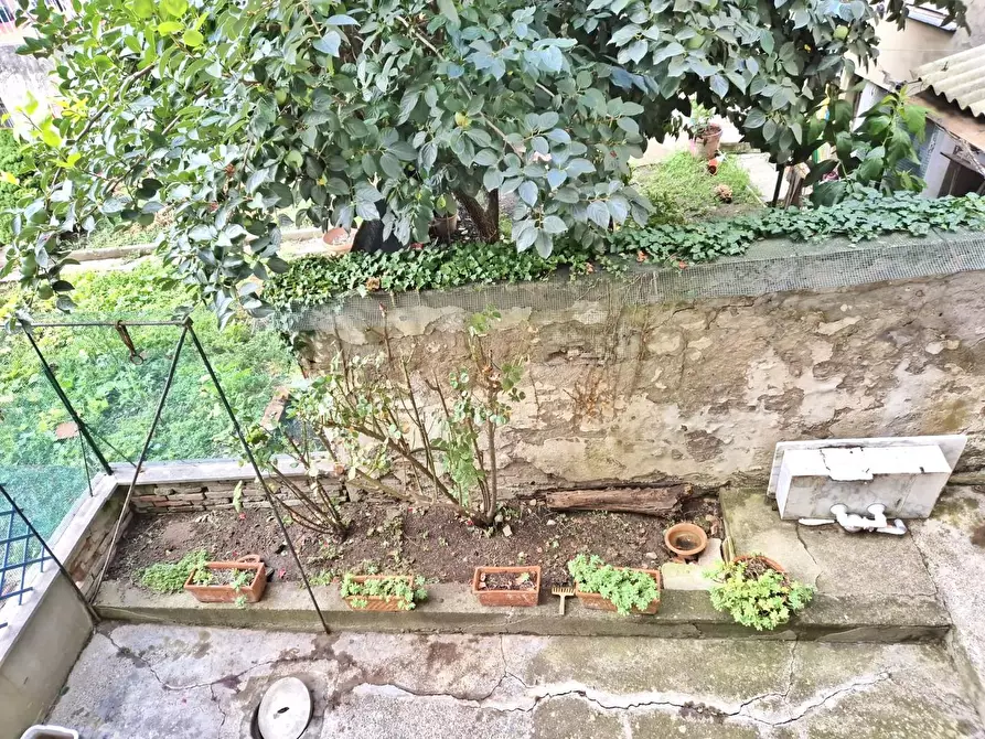 Immagine 9 di Palazzo in vendita  a Castelfiorentino