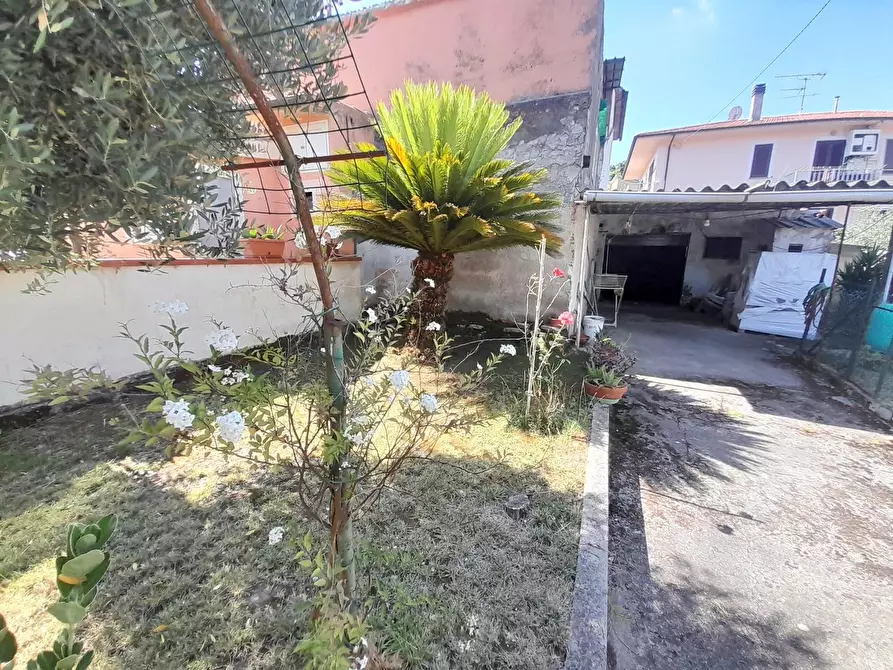 Immagine 25 di Terratetto in vendita  a Vecchiano