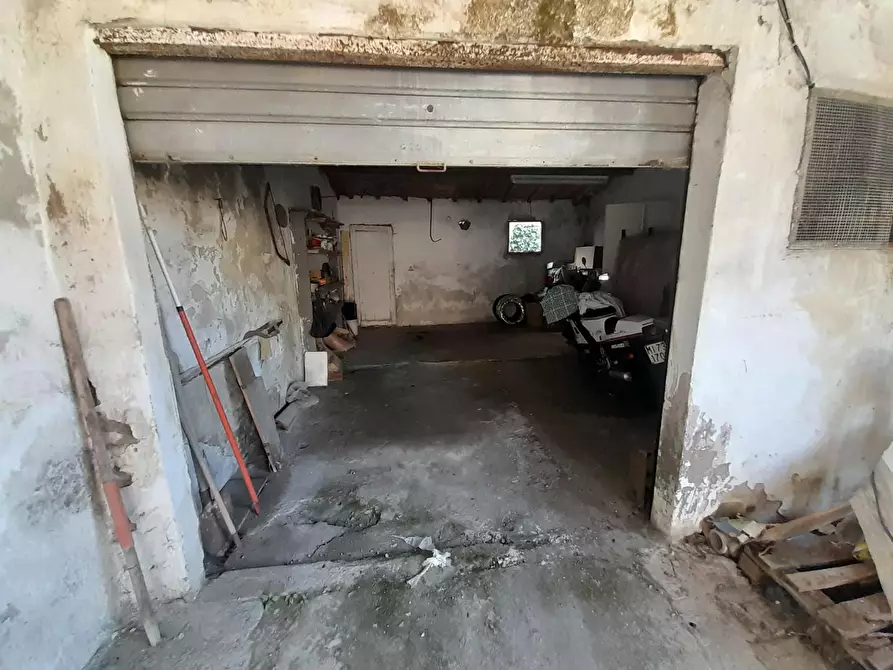 Immagine 29 di Terratetto in vendita  a Vecchiano