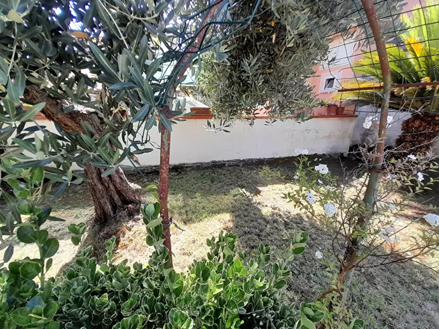 Immagine 26 di Terratetto in vendita  a Vecchiano