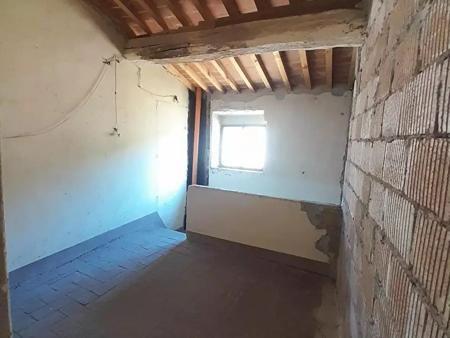 Immagine 23 di Terratetto in vendita  a Vecchiano