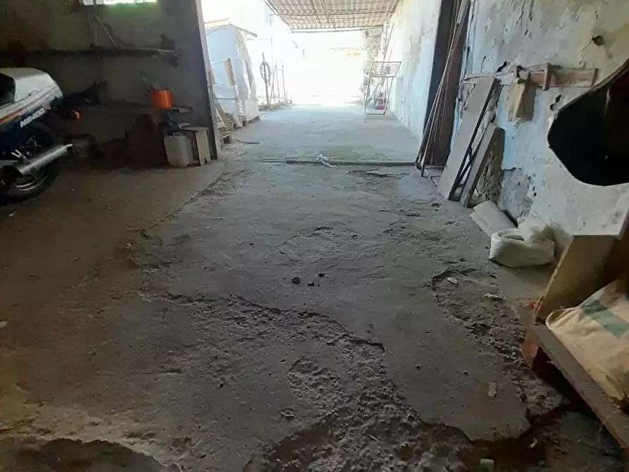 Immagine 31 di Terratetto in vendita  a Vecchiano