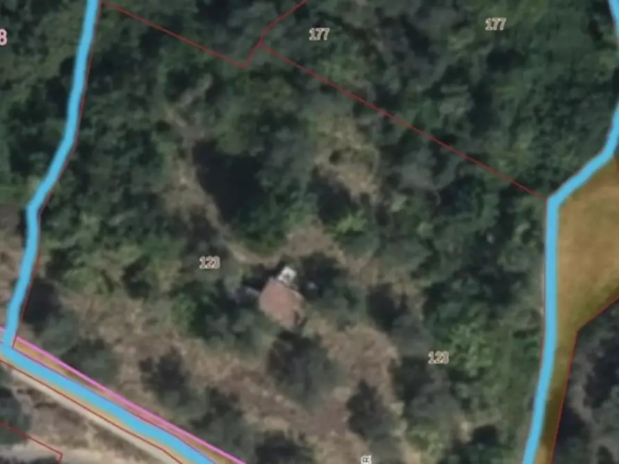 Immagine 10 di Casa colonica in vendita  a Palaia