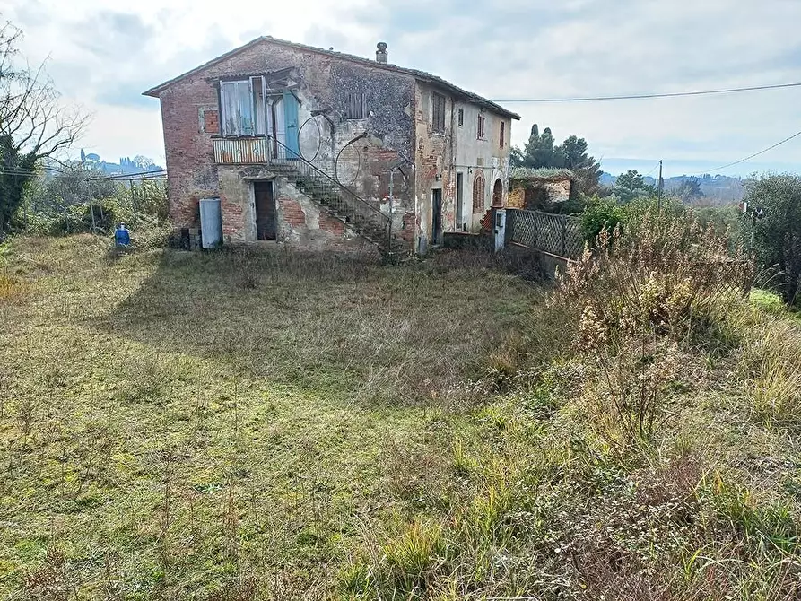 Immagine 2 di Casa colonica in vendita  a Palaia