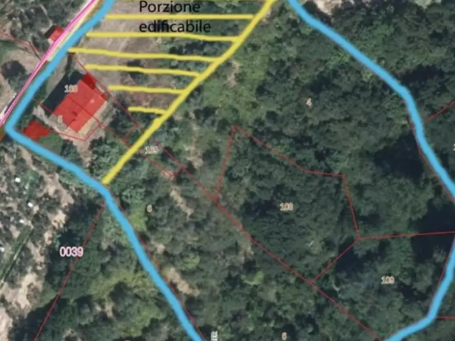 Immagine 11 di Casa colonica in vendita  a Palaia