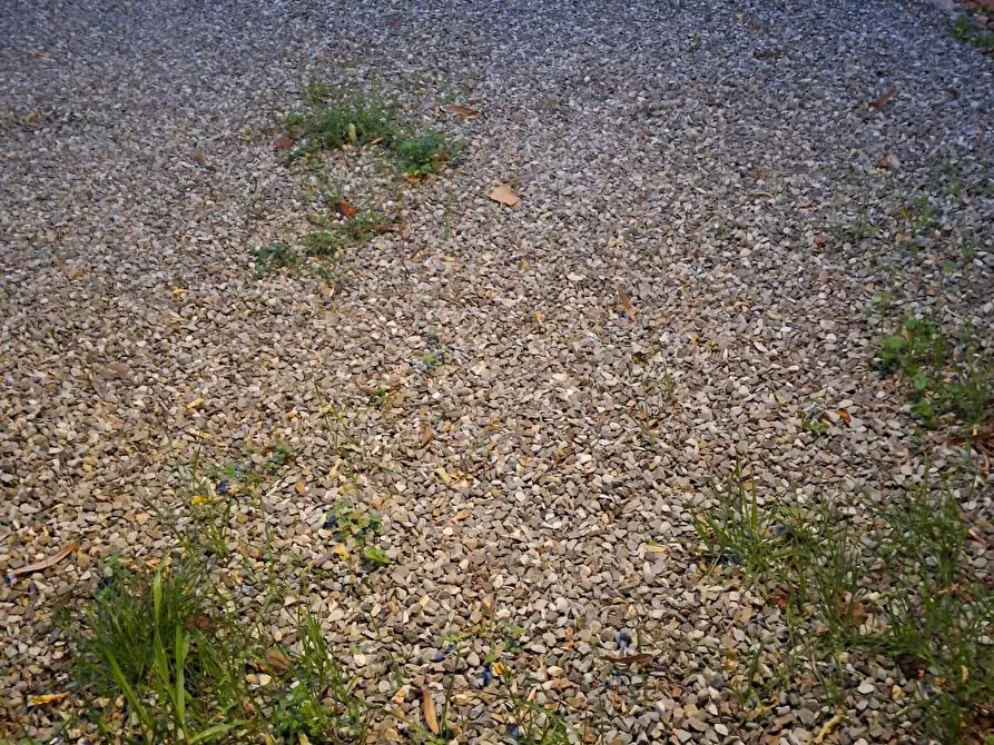 Immagine 28 di Appartamento in vendita  a Carmignano