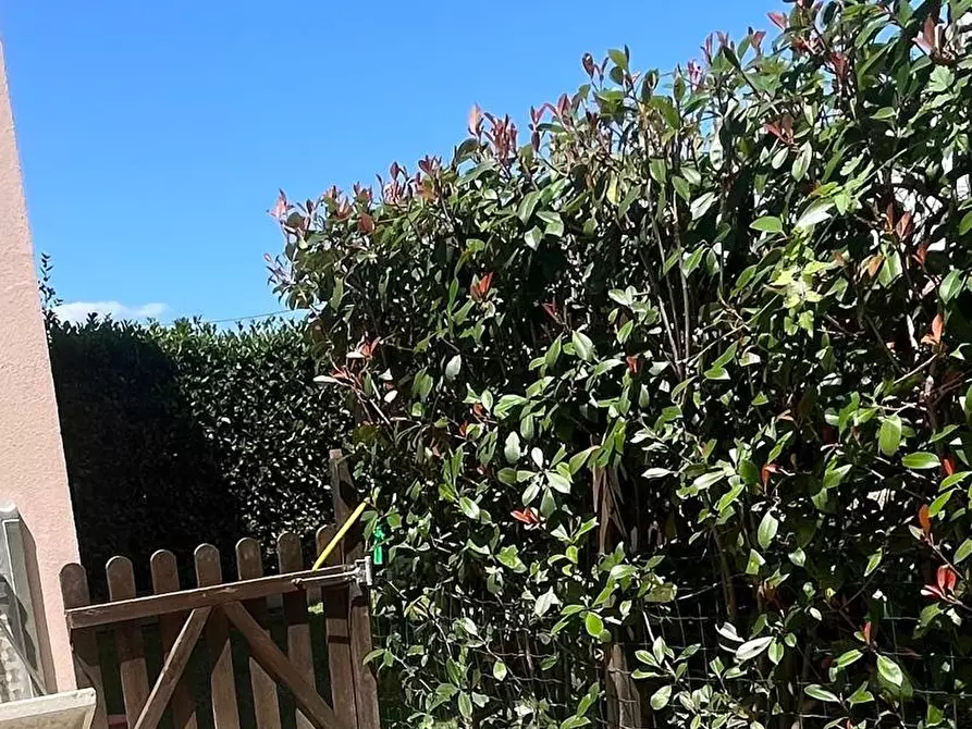 Immagine 12 di Appartamento in vendita  a Massa