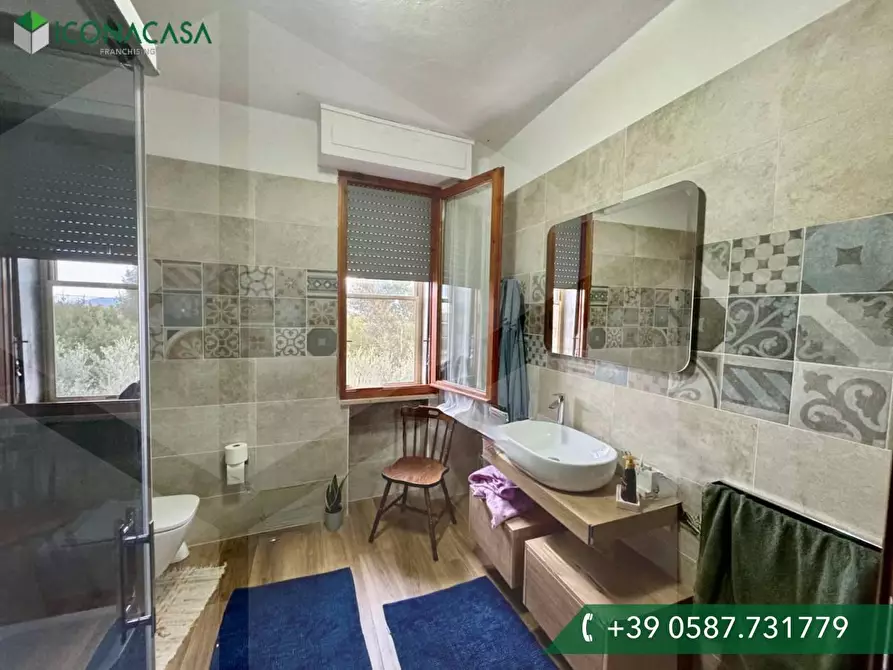 Immagine 14 di Appartamento in vendita  a Crespina Lorenzana