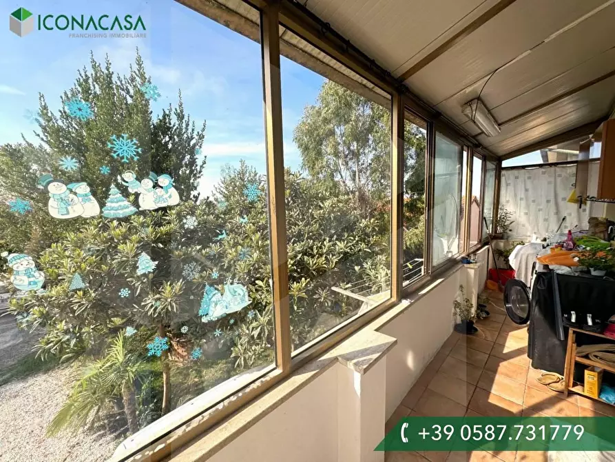 Immagine 16 di Appartamento in vendita  a Crespina Lorenzana