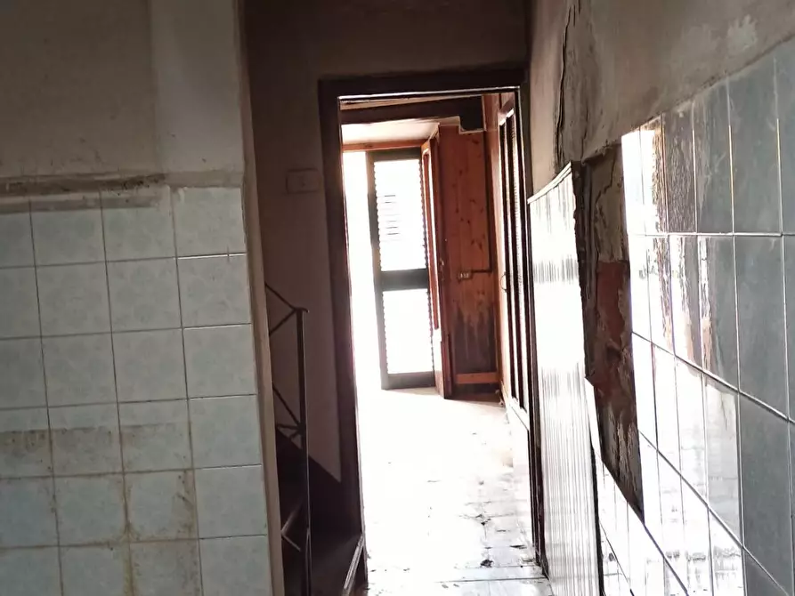 Immagine 8 di Terratetto in vendita  a Capannori