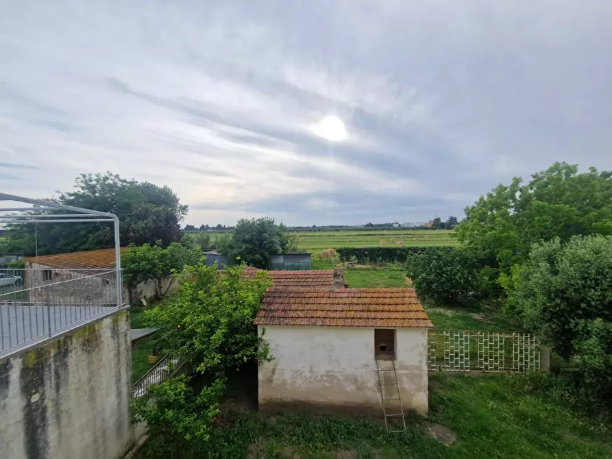 Immagine 9 di Appartamento in vendita  a Rosignano Marittimo