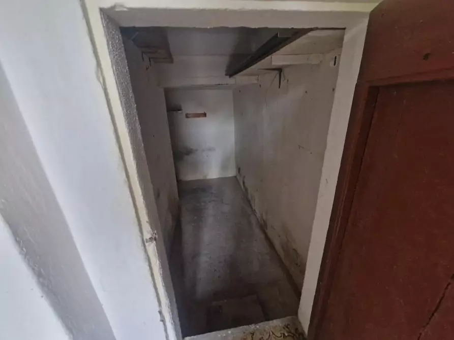 Immagine 11 di Appartamento in vendita  a Rosignano Marittimo