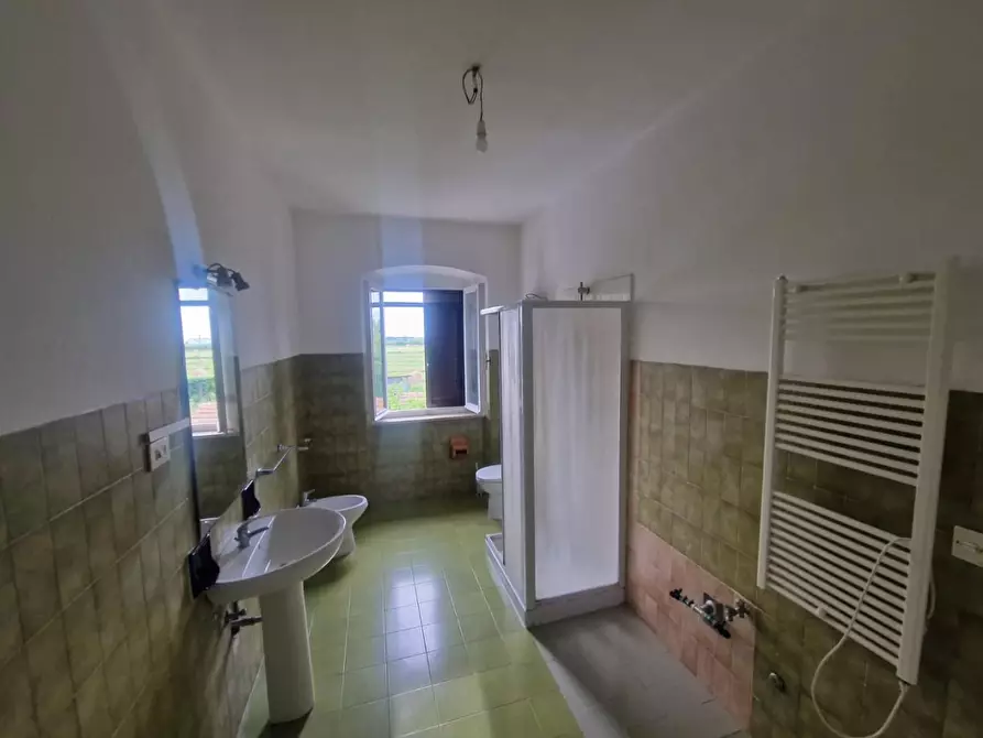 Immagine 6 di Appartamento in vendita  a Rosignano Marittimo