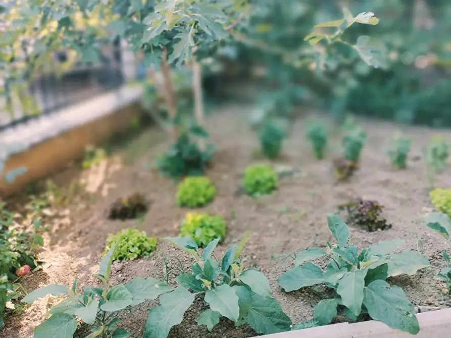 Immagine 54 di Villetta a schiera in vendita  a Reggio Nell'emilia