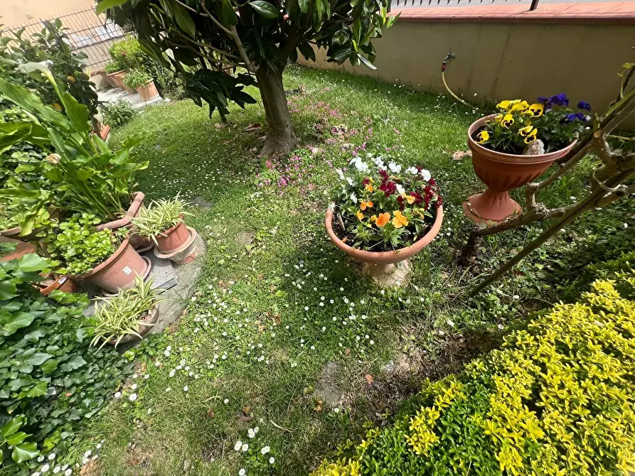 Immagine 2 di Casa semindipendente in vendita  a Vinci