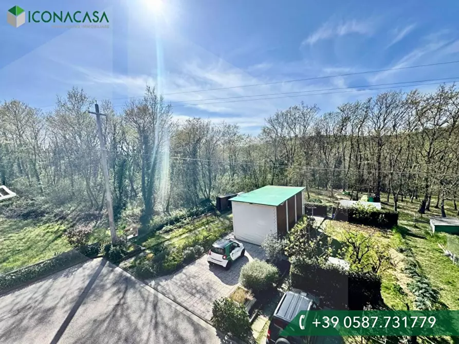 Immagine 43 di Appartamento in vendita  a Terricciola