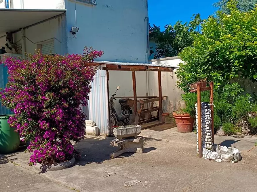Immagine 47 di Casa bifamiliare in vendita  a Viareggio