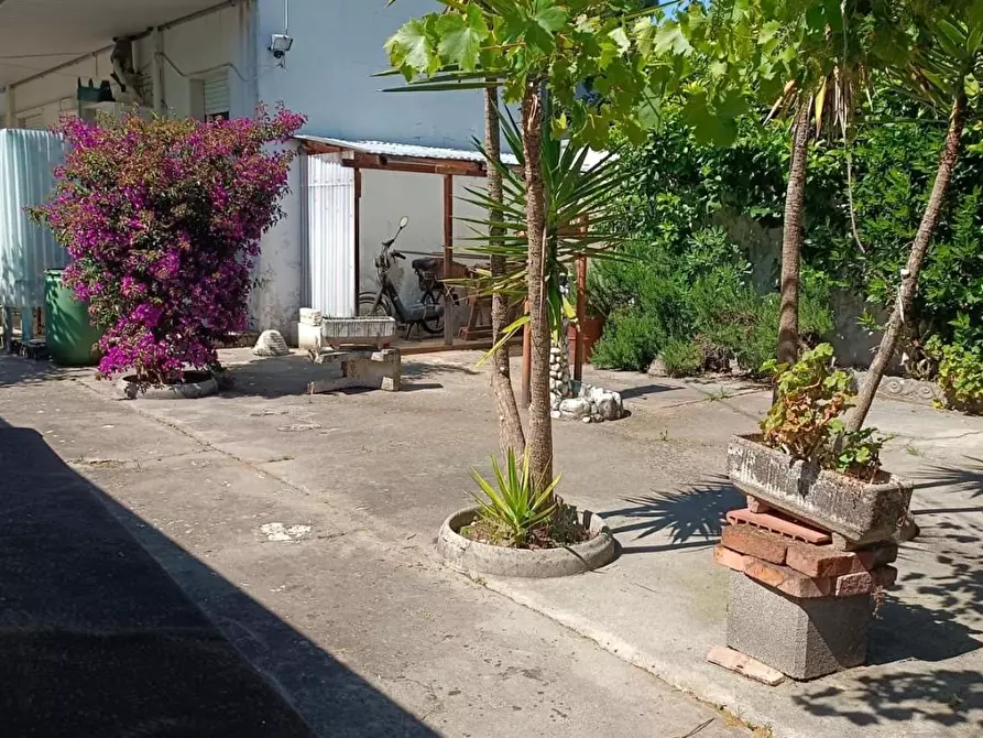 Immagine 45 di Casa bifamiliare in vendita  a Viareggio