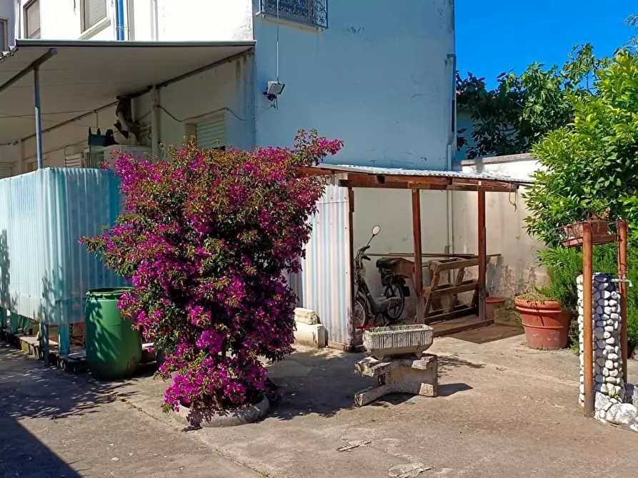 Immagine 46 di Casa bifamiliare in vendita  a Viareggio