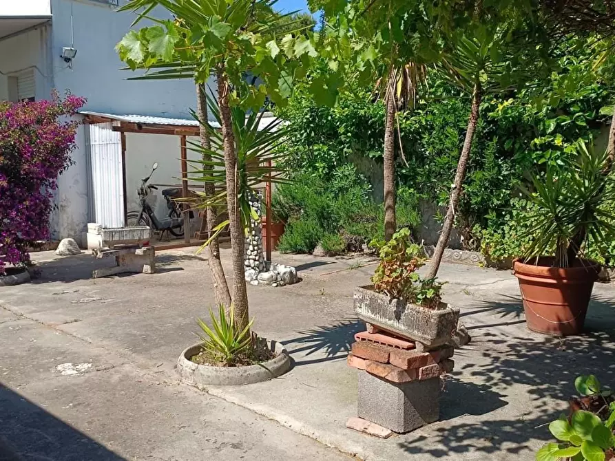 Immagine 50 di Casa bifamiliare in vendita  a Viareggio