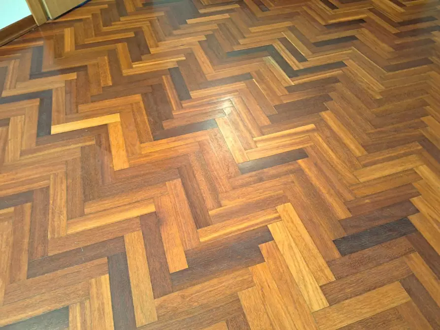 Immagine 17 di Casa indipendente in vendita  a Cascina