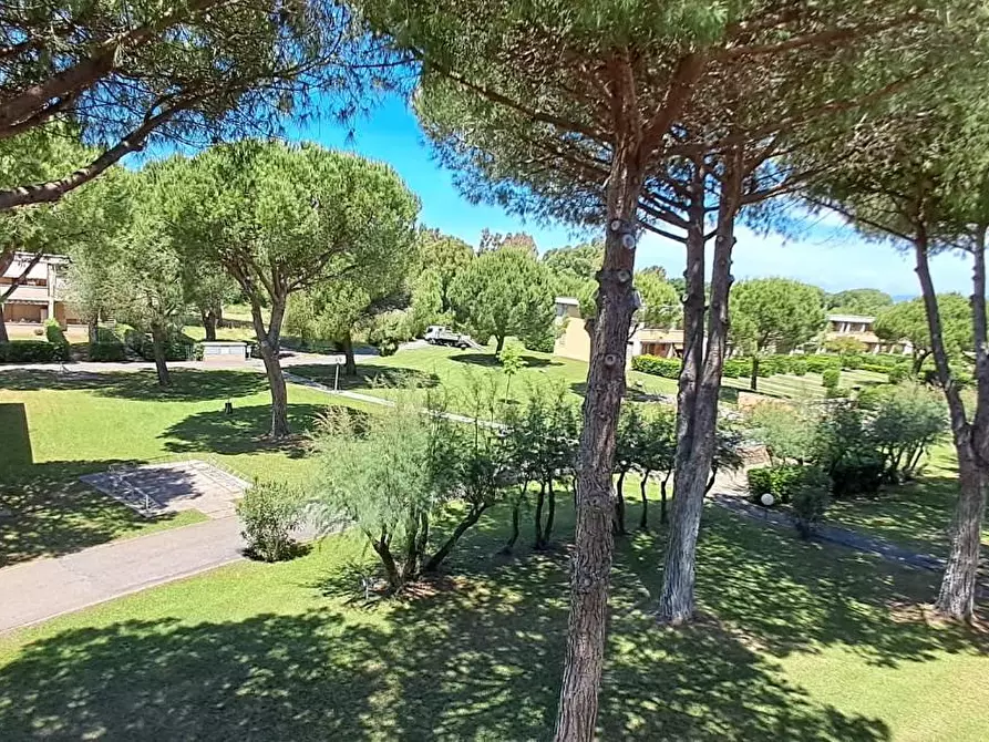 Immagine 2 di Loft/Open space in vendita  a Bibbona