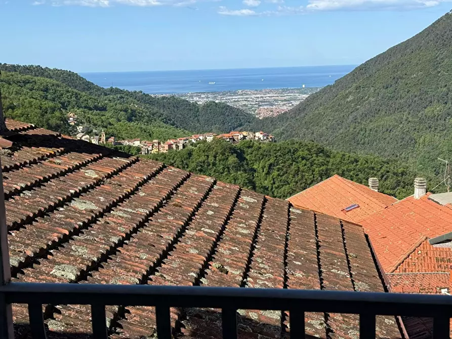 Immagine 16 di Terratetto in vendita  a Massa