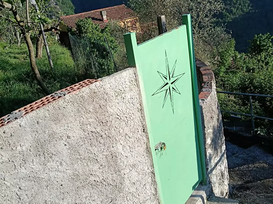 Immagine 21 di Terratetto in vendita  a Massa