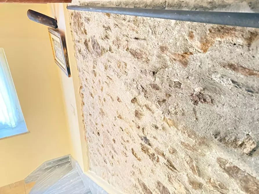 Immagine 9 di Terratetto in vendita  a Massa