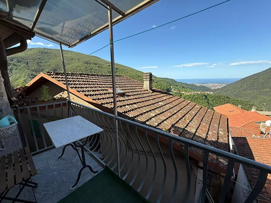 Immagine 15 di Terratetto in vendita  a Massa