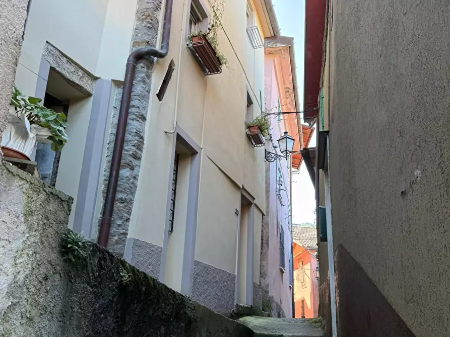 Immagine 19 di Terratetto in vendita  a Massa