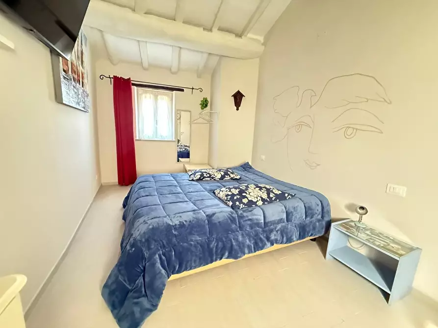 Immagine 11 di Terratetto in vendita  a Massa