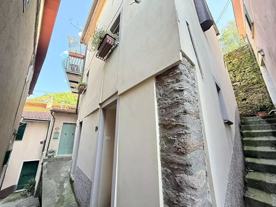 Immagine 18 di Terratetto in vendita  a Massa