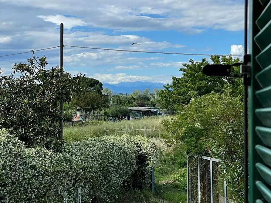 Immagine 10 di Appartamento in vendita  a San Miniato