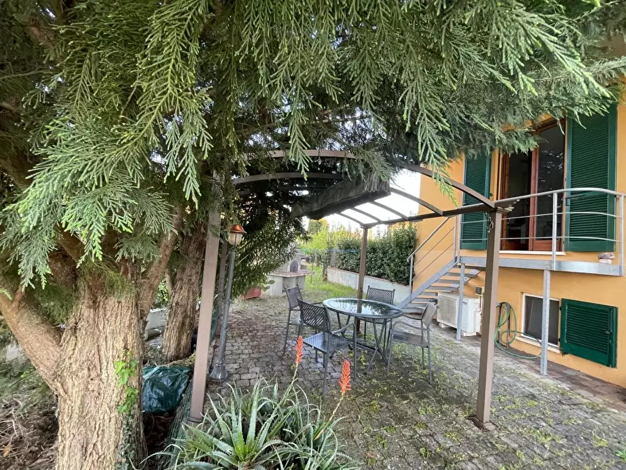 Immagine 54 di Appartamento in vendita  a San Miniato