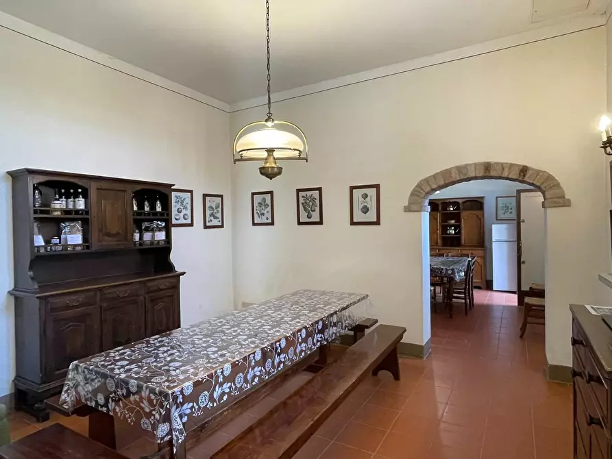 Immagine 48 di Azienda agricola in vendita  a San Miniato